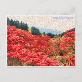 Azaleas at Mount Katsuragi ポストカード Postkarte