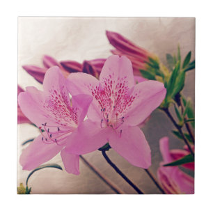 Azaleas Fliese