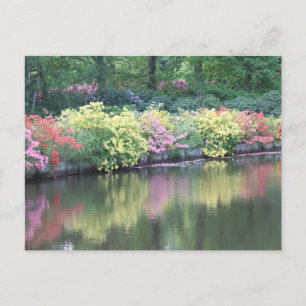 Azaleas Postkarte