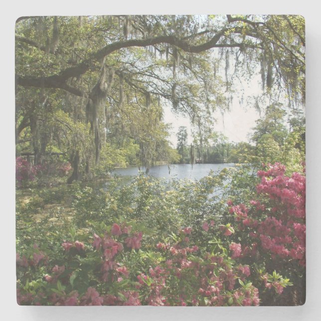 Azaleen, Airlie Gärten Steinuntersetzer (Vorderseite)