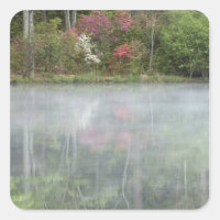 Azaleen, die zu Beginn in einem Teich nachsehen