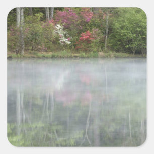 Azaleen, die zu Beginn in einem Teich nachsehen Quadratischer Aufkleber