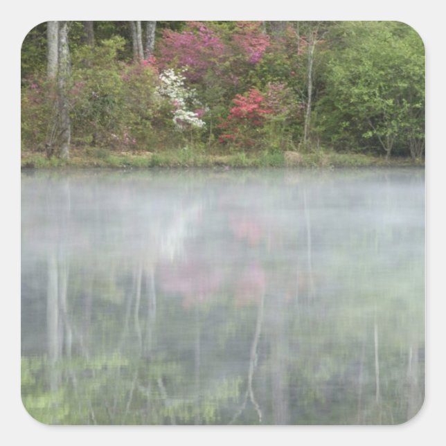 Azaleen, die zu Beginn in einem Teich nachsehen Quadratischer Aufkleber (Vorderseite)