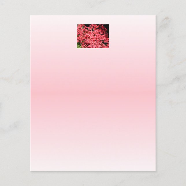 Azaleen. Hübsche rosa Blume. (Vorderseite)