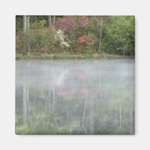 Azaleen spiegeln sich in einem Teich während des f Magnet