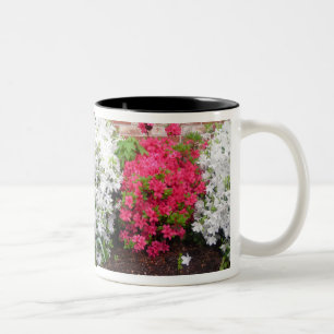 Azaleen umwickeln Tasse