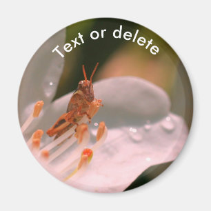 Azaleenblüte und Heuschrecke Personalisiert Magnet
