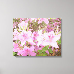 Azaleenblüten Nahaufnahme-Fotografie Leinwanddruck
