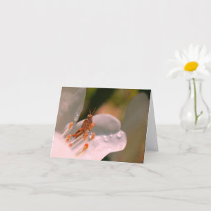 Azaleenblüten- und Heuschrecken-personalisierte No Karte