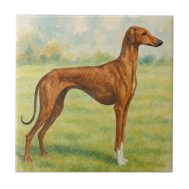 Azawakh Fliese (Vorderseite)