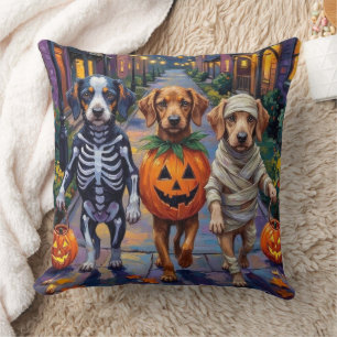Azawakh-Hunde beim Trick-or-Treat in Halloween-Kos Kissen