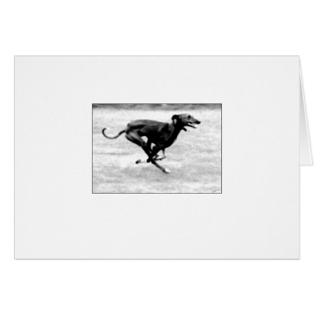 Azawakh Karte 3 durch David Moore (Vorderseite (Horizontal))