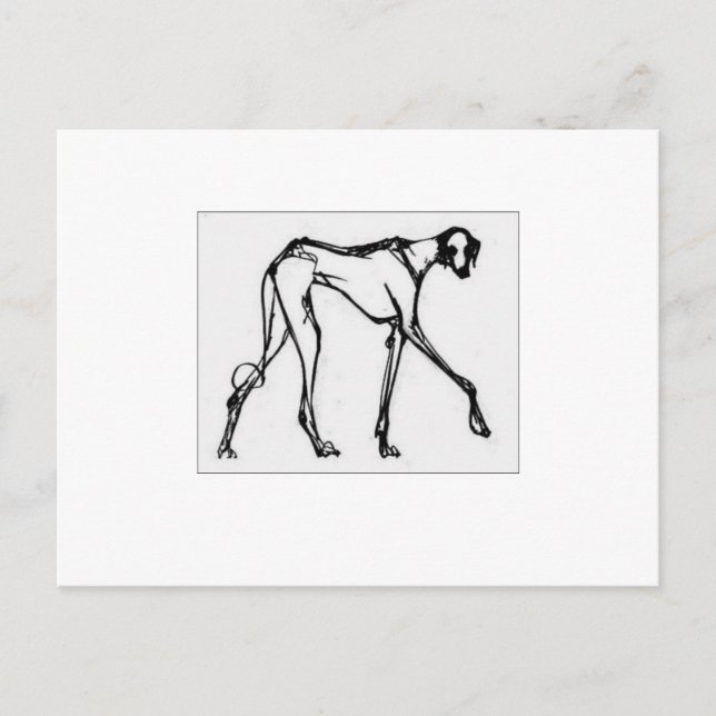 Azawakh Postcard 2 Postkarte (Vorderseite)