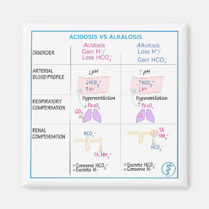 Azidose vs. Alkalosis Magnet (nicht flexibel)