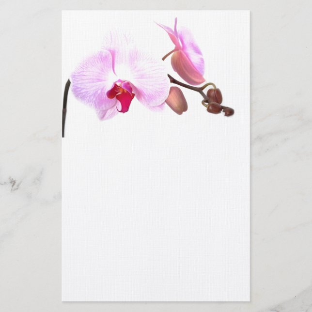 Aziza Orchid Blossoms Briefpapier (Vorderseite)