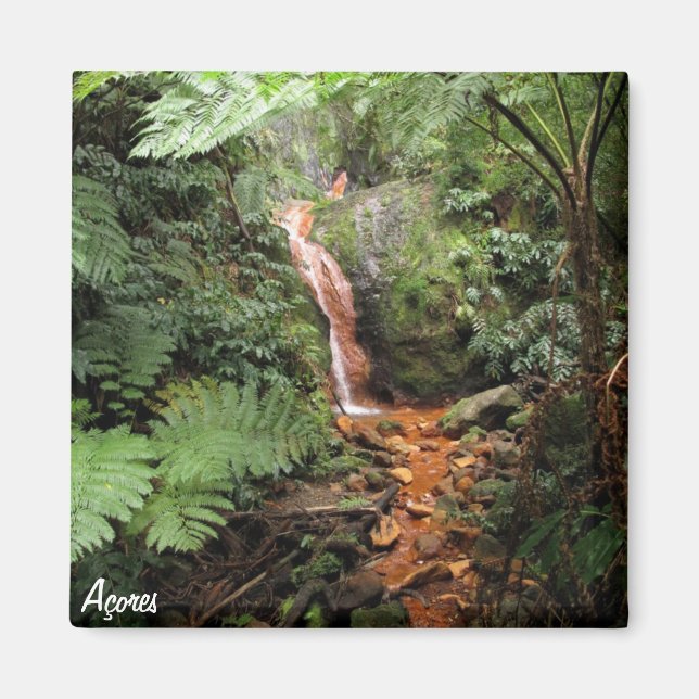 Azoren-Magnet - Caldeira Velha Magnet (Vorne)