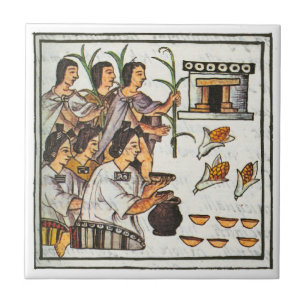 Aztec Food Fliese