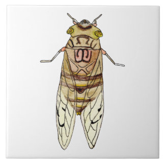 Azulejo de cigarra gigante fliese