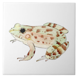 Azulejo de rana leopardo fliese