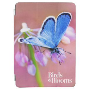 Azurblauer Schmetterling iPad Air Hülle