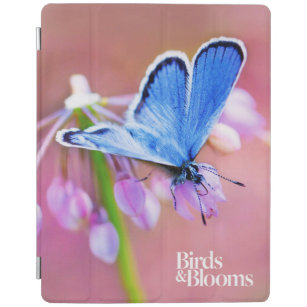 Azurblauer Schmetterling iPad Hülle