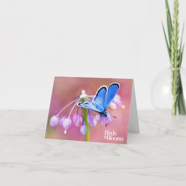 Azurblauer Schmetterling Karte (Vorderseite)