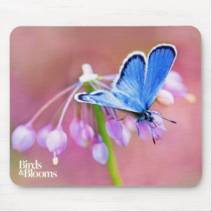 Azurblauer Schmetterling Mousepad