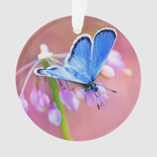 Azurblauer Schmetterling Ornament