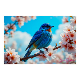 Azurblauer Vogel auf Kirschblütenzweig Poster
