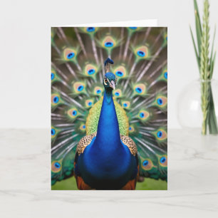 Azurblauer Vogel Geburtstagskarte Karte