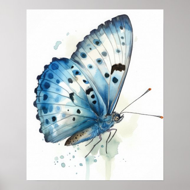 Azure Butterfly Art Print Poster (Vorne)