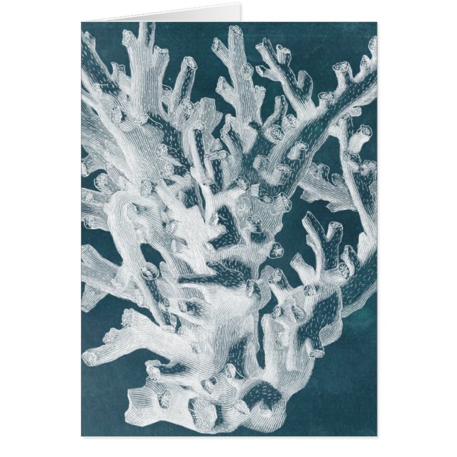 Azure Coral I (Vorne)