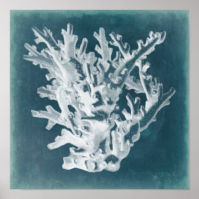 Azure Coral I Poster (Vorne)