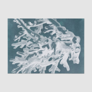 Azure Coral I Seidenpapier