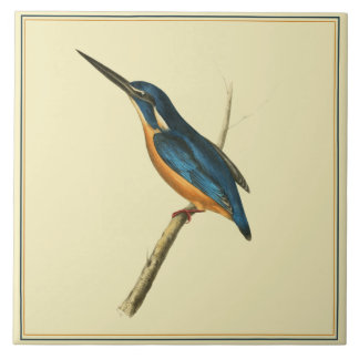 Azure Eisvogel Fliese