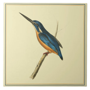 Azure Kingfisher Fliese