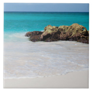 Azure Ocean Sandy Beach Foto Fliese