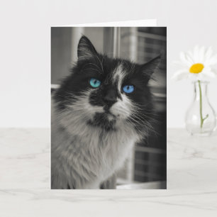 Azure Soul Black Cat Blue Eyes Grußkarte Karte
