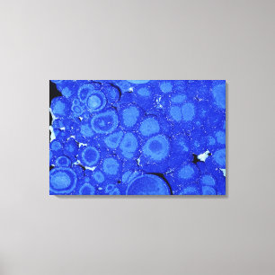 Azurit, ein Erz von Kupfer, Arizona, USA Leinwanddruck