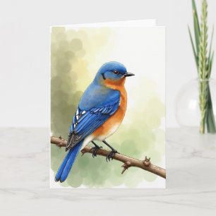 Azurvogel-Zweig-Szene-Karte Karte