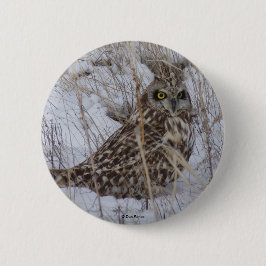 B11 Kurz gezüchtetes Schaf Button