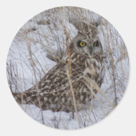 B11 Kurz gezüchtetes Schaf Runder Aufkleber