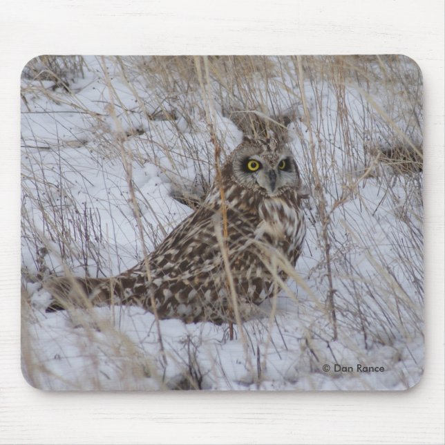 B11 Sumpfohreule Mousepad (Vorne)