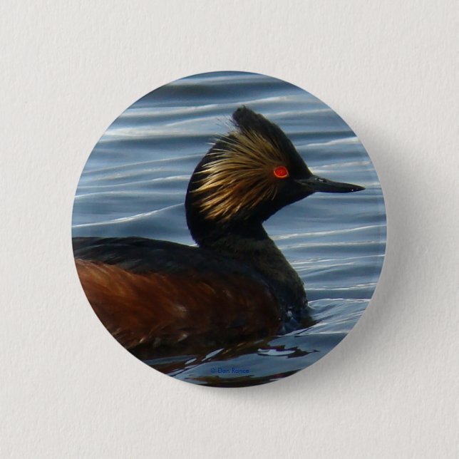 B13 Eared Grebe Button (Vorderseite)