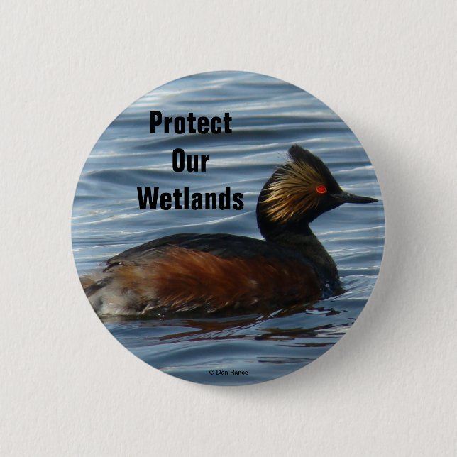 B13 Eared Grebe Button (Vorderseite)