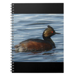 B13 Eared Grebe Notizblock
