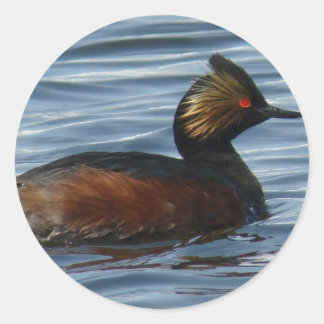 B13 Eared Grebe Runder Aufkleber