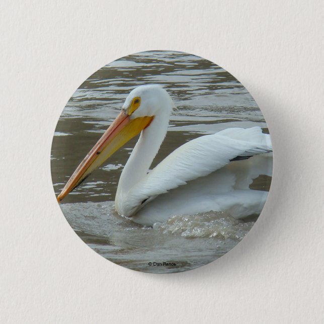 B14 Weißer Pelikan Button (Vorderseite)
