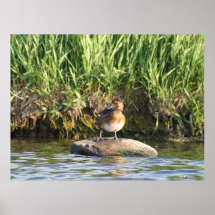 B18 Kleinere Prüfung Poster