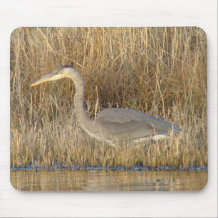 B19 Junger Großer Blauer Reiher Mousepad
